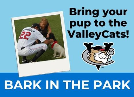 Bark in the Park