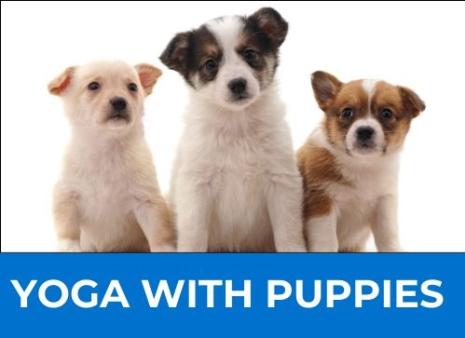Puppy Yoga