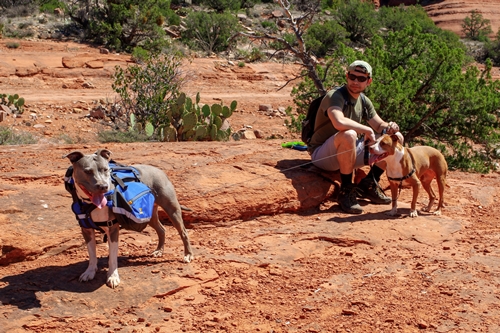 hard working dogs thanks so for