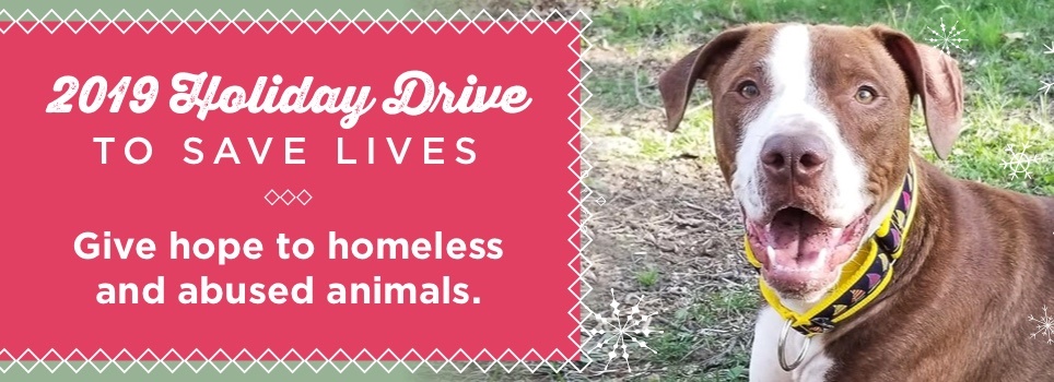 Holiday2019l Mohawk Hudson Humane Society