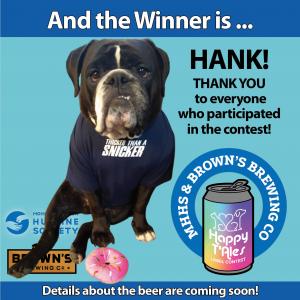 Hank, dog - Dog and Cat Photo Contest