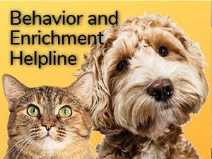 B&E Helpline