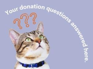 questions