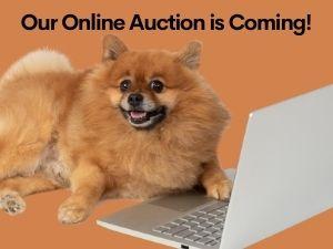 Online Auction