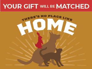 Matching Gift