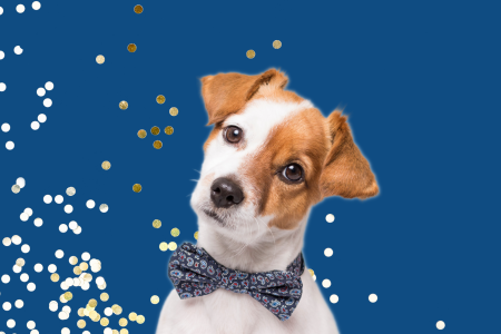 2023 Gala for Animals