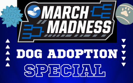 March Madness special graphic