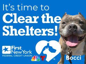 Clear the Shelters