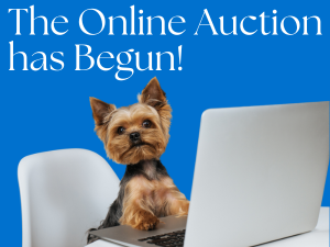Online Auction
