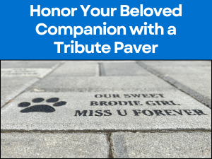 Memorial Paver