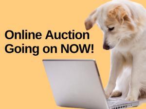 auction