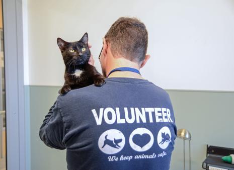 Volunteer holding black cat