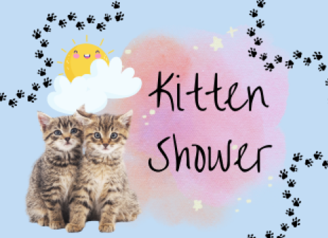 It's time for Kitten Shower 2024