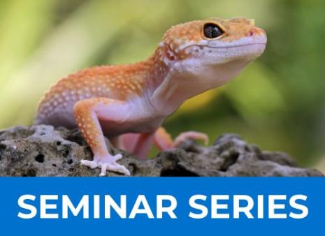 Reptiles 101 Seminar