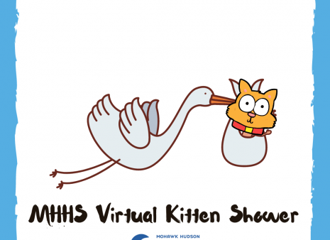 MHHS Kitten Shower
