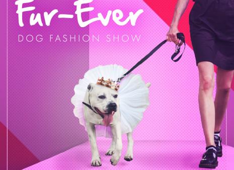 Fur-Ever Dog Fashion Show