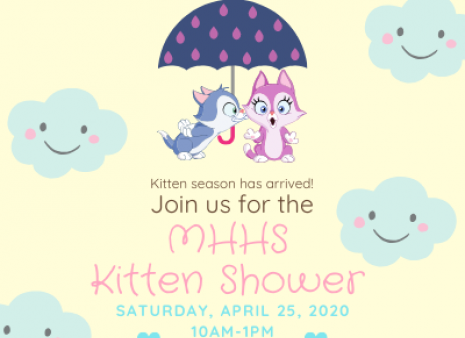 Virtual Kitten Shower