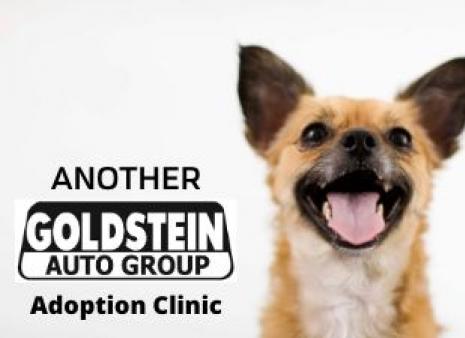 Goldstein Adoption Clinic