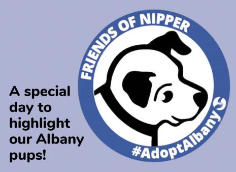 #AdoptAlbany