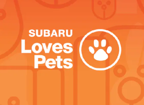 Subaru Loves Pets
