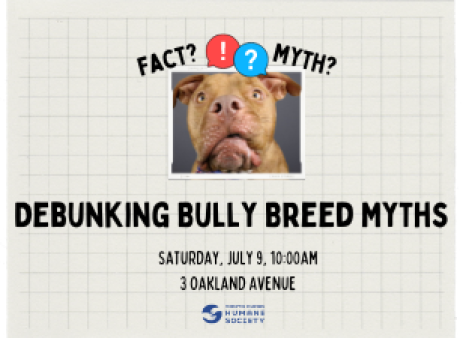 Debunking Breed Myths