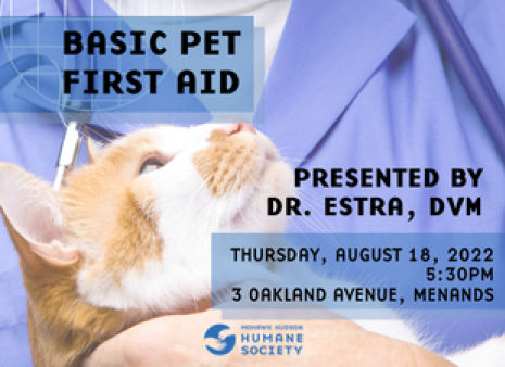 Basic Pet First Aid