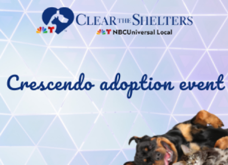 Clear the Shelters Crescendo Event