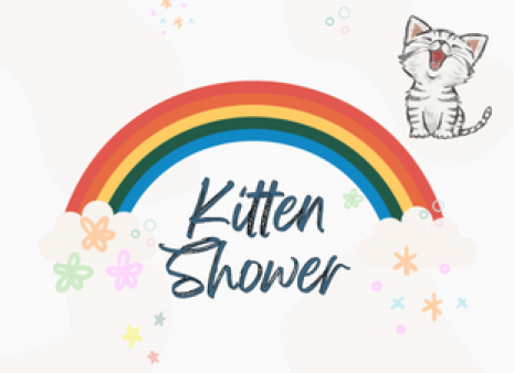 Kitten Shower