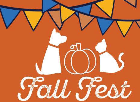Fall Fest graphic