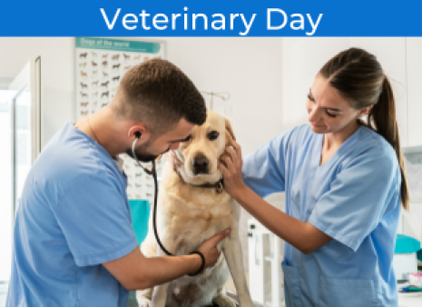 Camp Day: Veterinary Day | Mohawk Hudson Humane Society