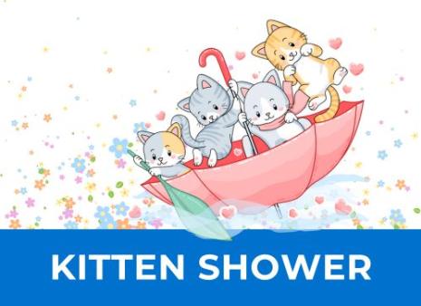 Kitten Shower 2025