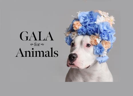 Gala for Animals
