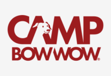 Camp Bow Wow